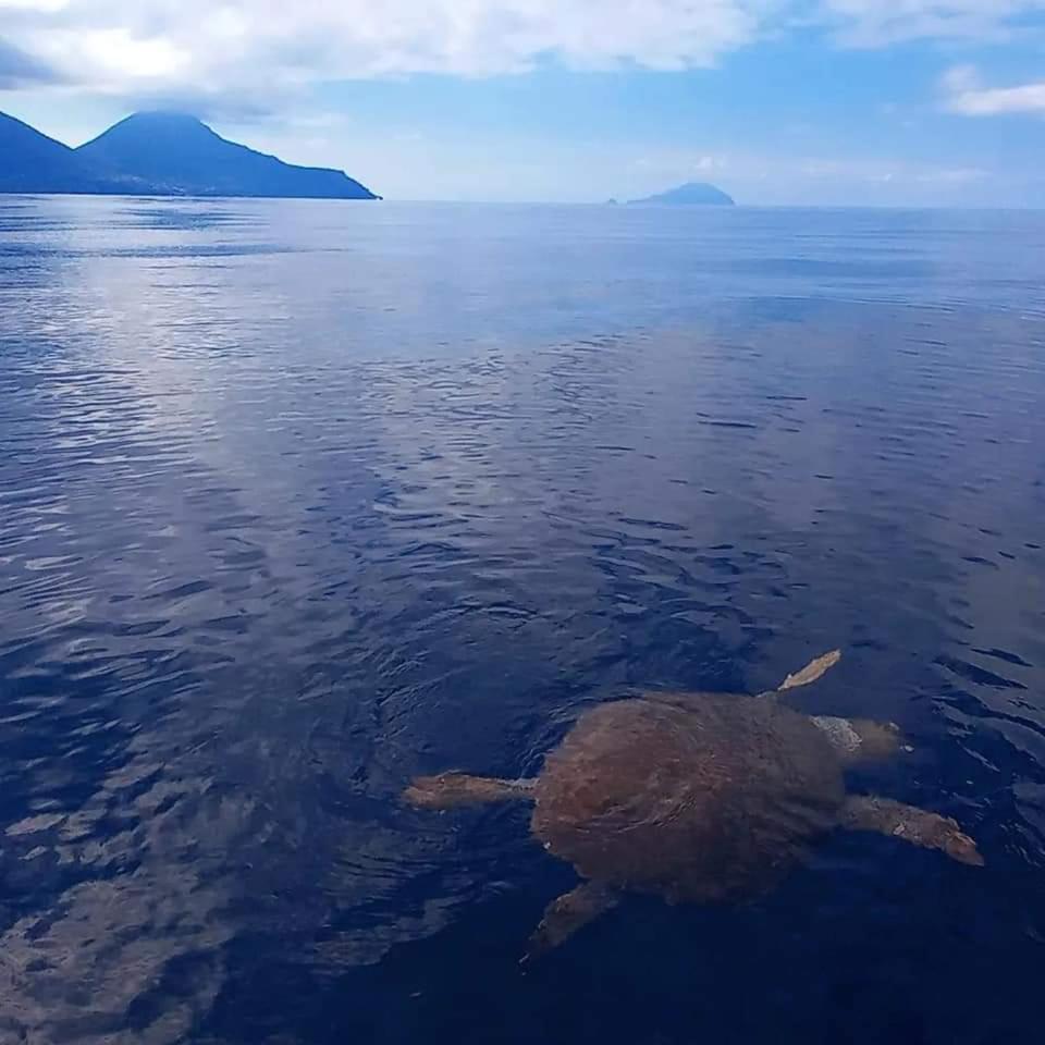 "Appartamento Del Mare Gliaca" Con Vista Isole Eolie,Ampia Terrazza,Wifi E Parcheggio Privato Gratuito Piraino Bagian luar foto